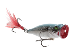 Sprayin' Shad