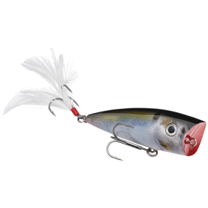 KVD Splash Topwater